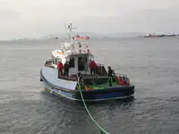 टोबोट बिक्री के लिए
