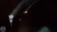 ट्रॉलर बिक्री के लिए