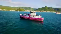 General Cargo/Multi-purpose बिक्री के लिए