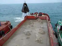 बार्ज बिक्री के लिए