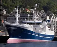 Purse seiner बेचने के लिए