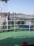 ड्रेजर बिक्री के लिए