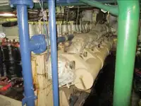 लॉन्गलाइनर बिक्री के लिए
