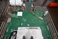 फेरी पोत बिक्री के लिए