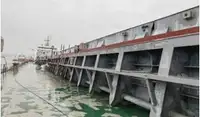 बल्क वाहक बिक्री के लिए