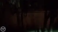 ट्रॉलर बिक्री के लिए