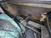 क्रूज फेरी बिक्री के लिए