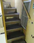 पायलट बोट बिक्री के लिए