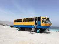 उभयचर बिक्री के लिए