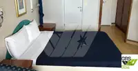 Ro-Ro ship बेचने के लिए