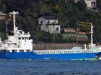 General Cargo/Multi-purpose बिक्री के लिए