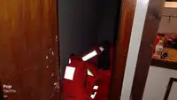 फेरी पोत बिक्री के लिए
