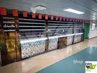 रो-रो जहाज बिक्री के लिए
