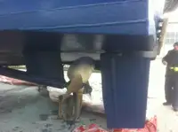 क्रू बोट बिक्री के लिए