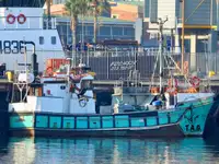 Purse seiner बेचने के लिए