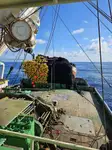 Purse seiner बेचने के लिए