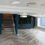 क्रूज फेरी बिक्री के लिए