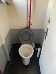 टोबोट बिक्री के लिए