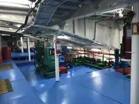 Ro-Ro ship बेचने के लिए