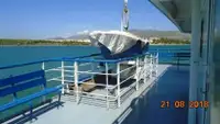 Ro-Ro ship बेचने के लिए