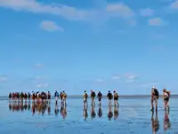 बार्ज बिक्री के लिए