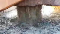 ड्रेजर बिक्री के लिए