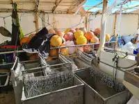 लॉन्गलाइनर बिक्री के लिए