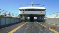 Ro-Ro ship बेचने के लिए