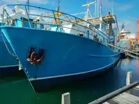 Trawler बेचने के लिए