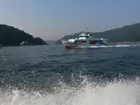 फेरी पोत बिक्री के लिए