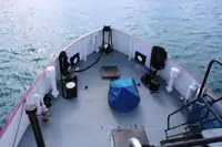 General Cargo/Multi-purpose बिक्री के लिए