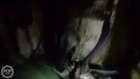 ट्रॉलर बिक्री के लिए