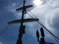 टोबोट बिक्री के लिए