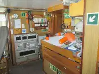 लॉन्गलाइनर बिक्री के लिए