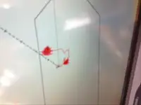 टोबोट बिक्री के लिए