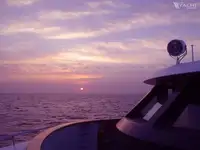 डाइव सपोर्ट बिक्री के लिए