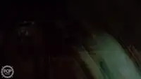 ट्रॉलर बिक्री के लिए