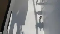 ट्रॉलर बिक्री के लिए