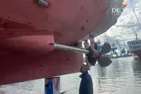 फेरी पोत बिक्री के लिए