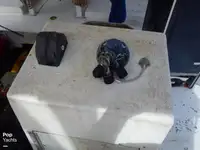 ट्रॉलर बिक्री के लिए