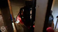 ट्रॉलर बिक्री के लिए
