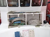 सर्वेक्षण पोत बिक्री के लिए