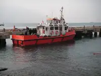 टोबोट बिक्री के लिए