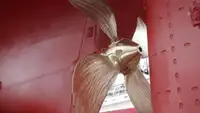 लॉन्गलाइनर बिक्री के लिए