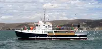 Purse seiner बेचने के लिए