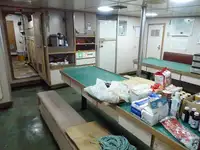 लॉन्गलाइनर बिक्री के लिए