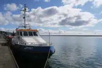 गश्ती नाव बिक्री के लिए