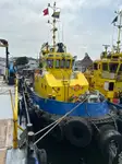 टोबोट बिक्री के लिए