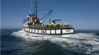 Trawler बेचने के लिए
