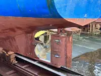 बल्क वाहक बिक्री के लिए